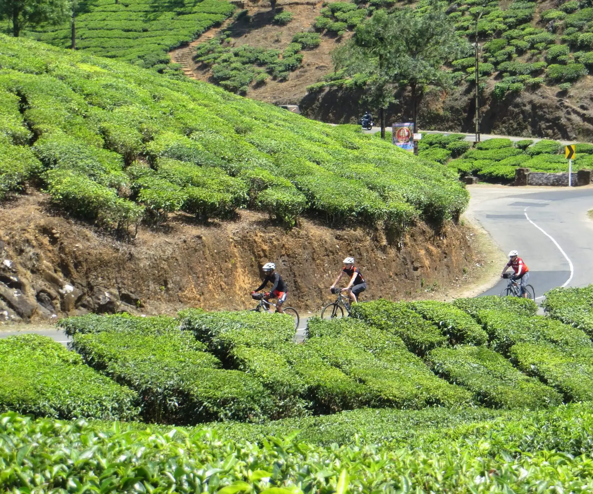 Kerala Bicycle Tour: The Tropical Highlights 7 Days